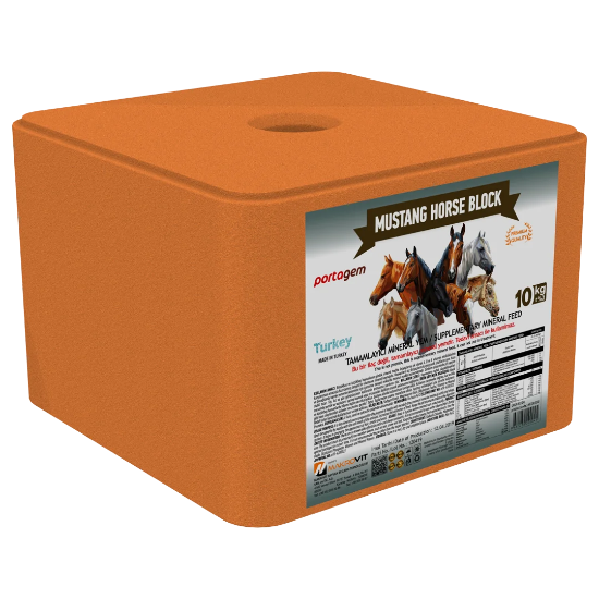 Portagem Mustang Horse Block resmi