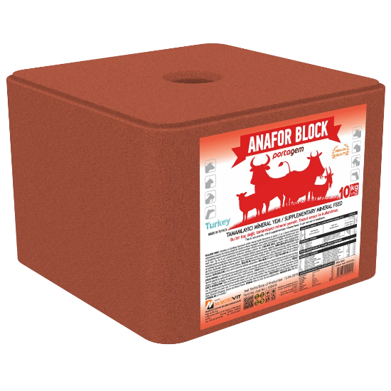 Portagem Anafor Block resmi